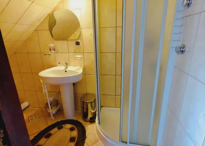 Lila Bukowina Tatrzańska